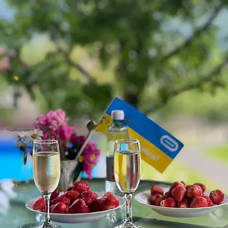 еко - Sino Villa Polyana (Transcarpathia)